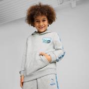 Puma Hot Wheels Kapuzenpullover, Grau, 104