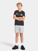 Didriksons Fejan Shorts, Aluminum Melange, 160