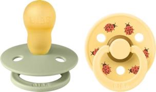 BIBS Studio Colour Ladybug Schnuller 2er-Pack Latex Größe 3, Sage